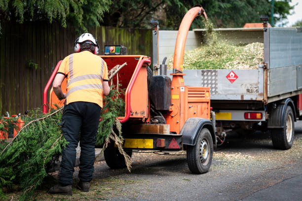 Professional Tree Services in Ho Ho Kus, NJ